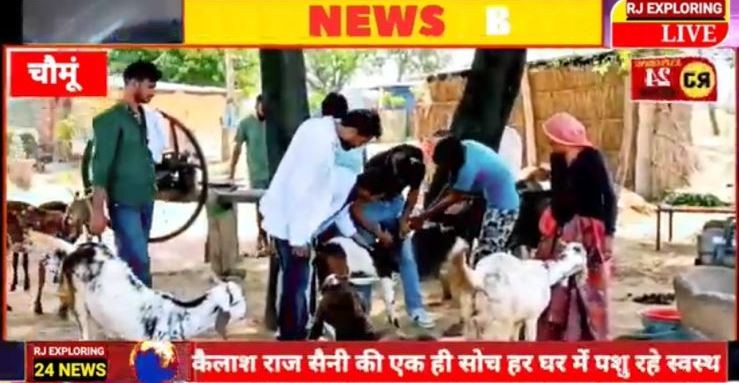 Glimpses News Channel  of  Veterinary Camp Organised at Village KISHANPURA 07-10-2023